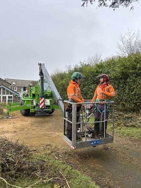 Crew working from a hoist in a back garden